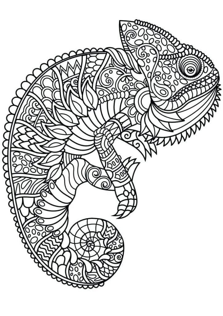 Mandalas Animaux 43
